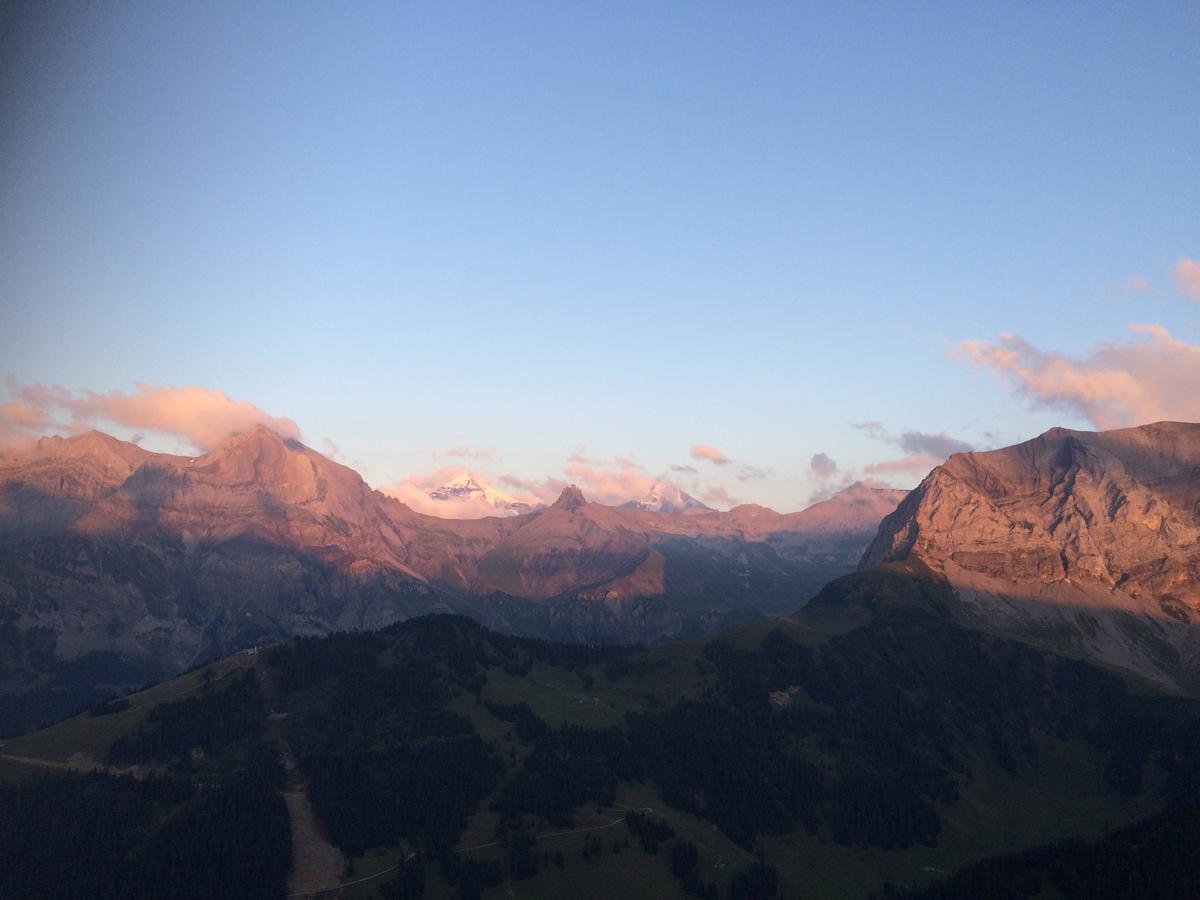 Bergdohle Appartement Adelboden Buitenkant foto