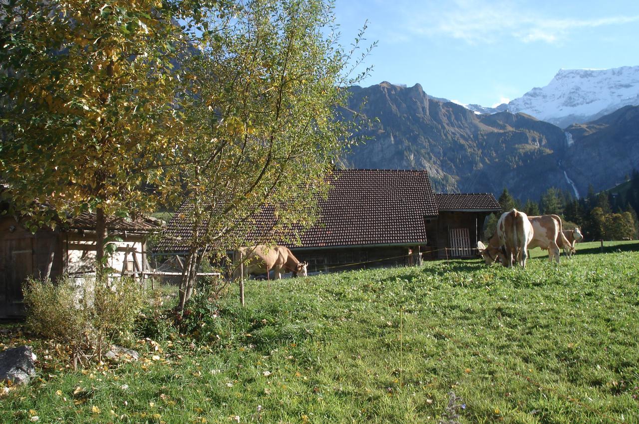 Bergdohle Appartement Adelboden Buitenkant foto