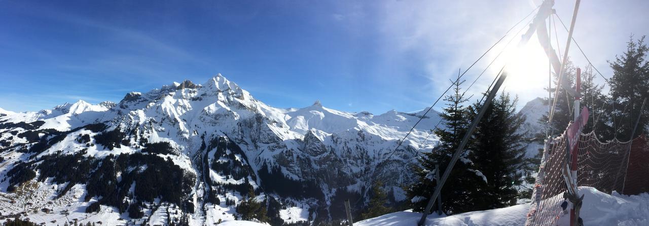 Bergdohle Appartement Adelboden Buitenkant foto